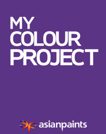 My Color Project Portfolio